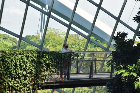 A woman ponders ahead at Singapore's Cloud Forest canopy walk